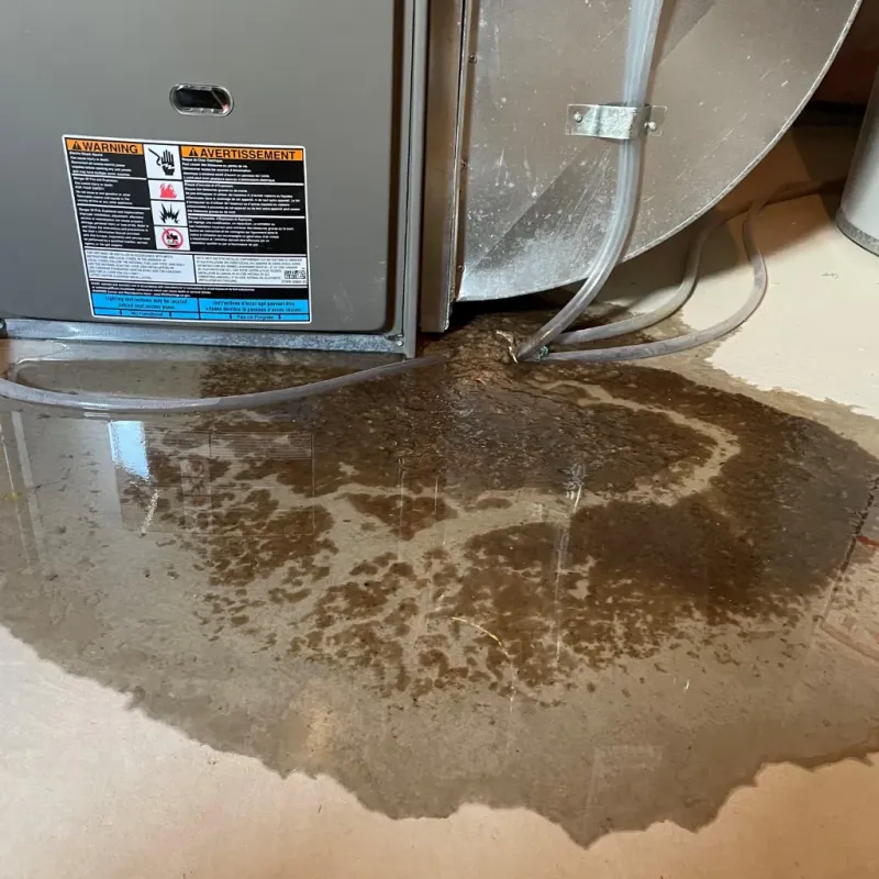 Appliance Leak Cleanup in Sutter County, CA